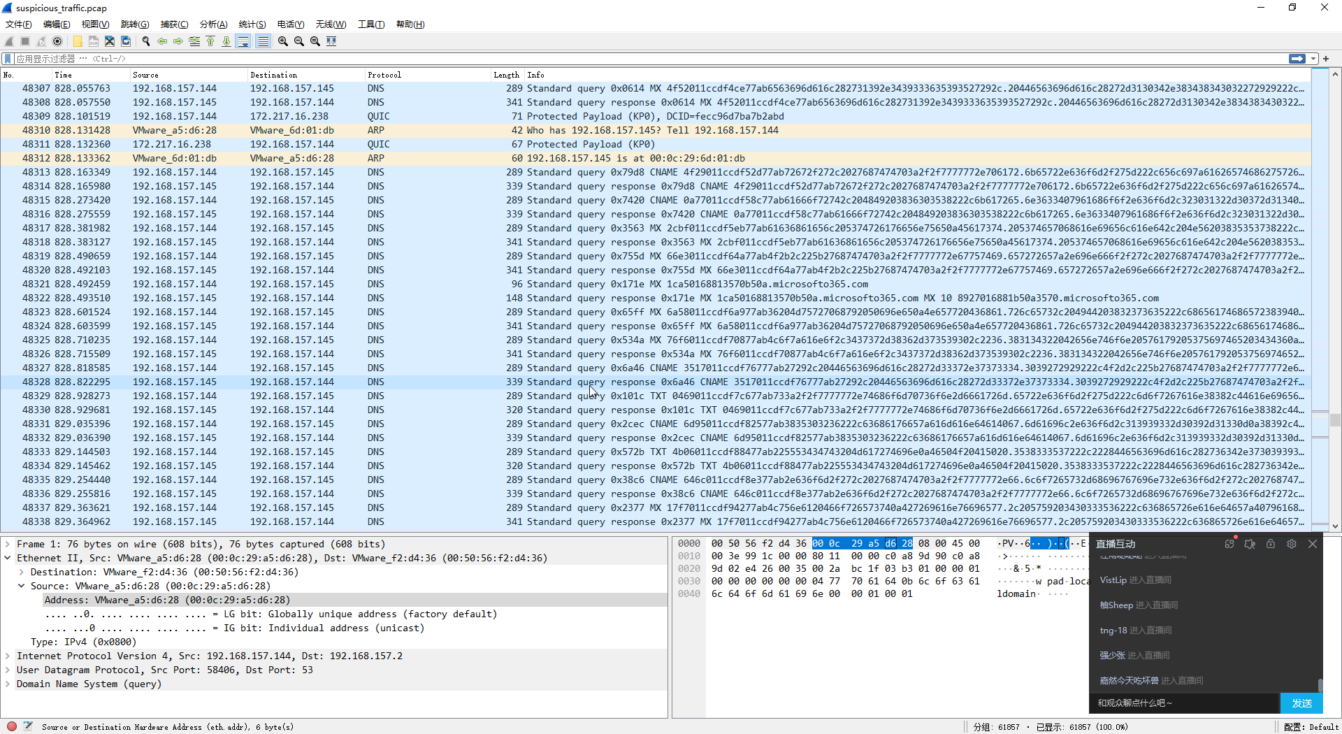 wireshark dns