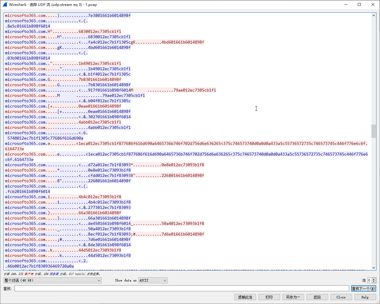 wireshark dns udp track