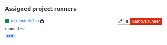 runner successfully installed